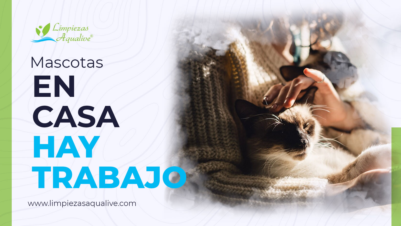 Blog-Aqualive---Mascotas-en-casa-hay-trabajo